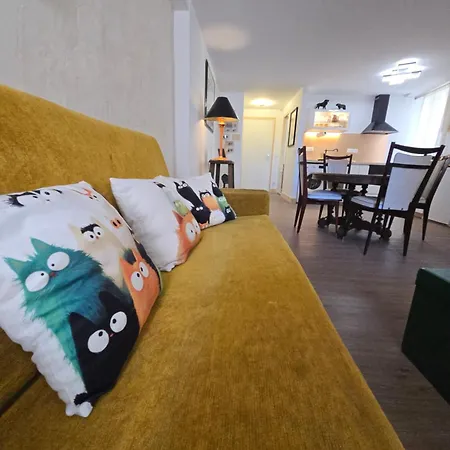 Avec Terrasse Centre Historique *